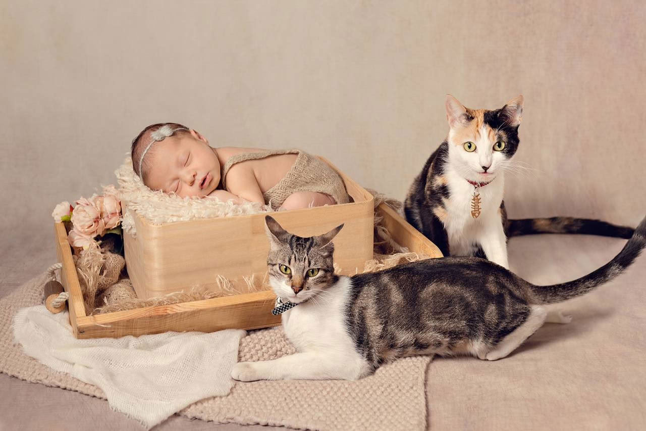 Family photo used to create personalized coloring book from photos